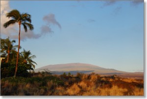 den-1-maunakea.jpg